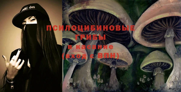 ешки Волоколамск