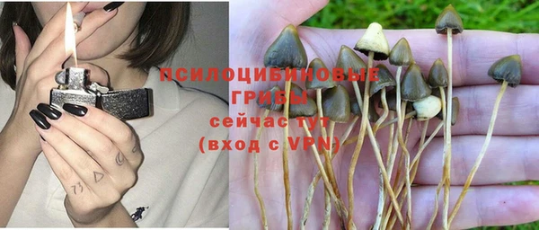 ешки Волоколамск