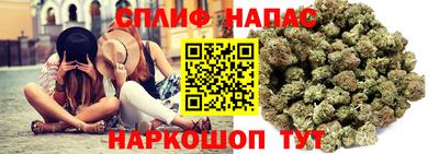 молекула духа Обь
