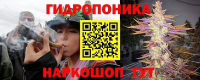 дмт Нягань