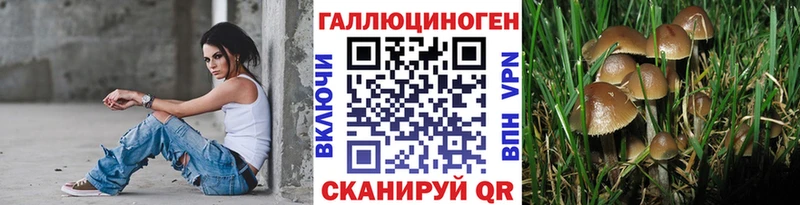 купить наркоту  Снежинск  Псилоцибиновые грибы ЛСД 